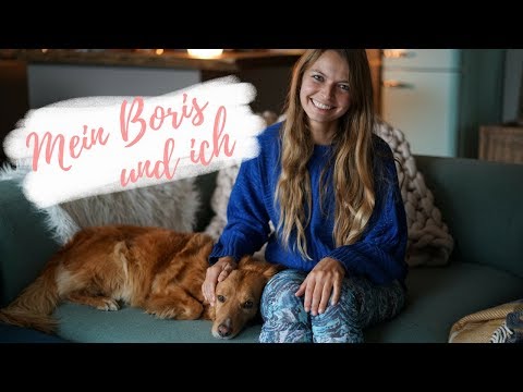 ALLTAG MIT HUND | Reisen, Dogwalker und fressen |Lilies Diary