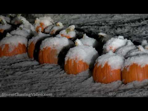 First Heavy Snow Fall - Rice Lake, WI - 10/14/2022