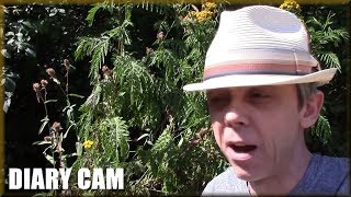 Diary Cam - Heatwave back to stay? Too hot again and Channel Outtro stuff