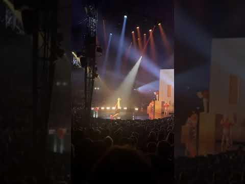 KURIOS – Cabinet of Curiosities - Part 2