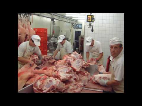 Rappid.DMS. feat. Salkin. - Kriminaldelikt.