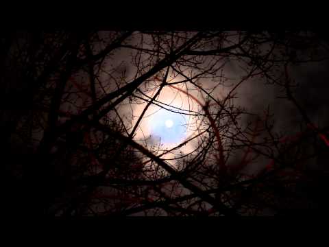 Moon (scary twisted tree silhouette night) 5 -Time-lapse - Free stock footage Video