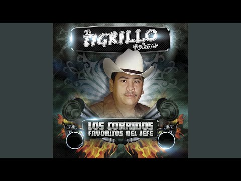 Tu Nuevo Cariñito