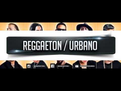 No Puedo Olvidarte  en pista de reggaeton latino , coros nuevo  🔥
