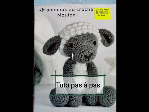 partie 1 mouton NOZ : tête, museau