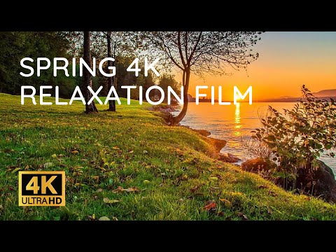 Amazing Colors of Spring 4K Nature Relaxation Film - Relaxing Piano Music - Natural Landscape