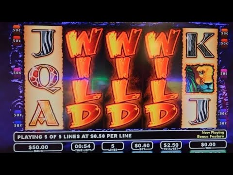 4 Trigger Bonus on The Wild Life