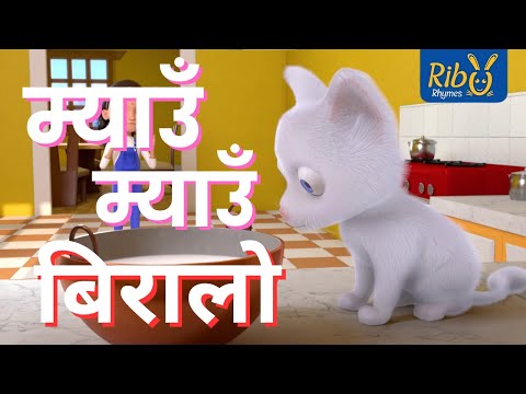 Miau Miau Biralo I म्याउँ म्याउँ बिरालो I Meow Meow Biralo I Nepali Kids' Songs I Ribu Rhymes