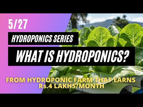 What is hydroponics? Step-by-step approach | 5/27