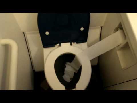 Airplane toilet flush