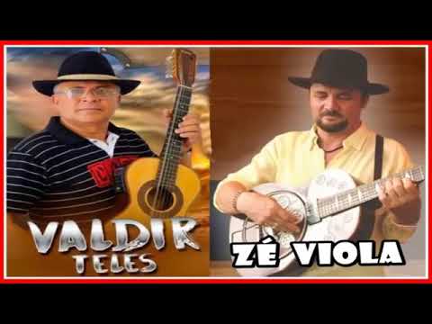 Zé Viola e Valdir Teles- Cantoria Pé de Parede