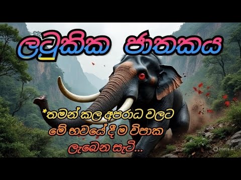 🙏ලටුකික ජාතකය|තමන් කල අපරාධ වලට මේ භවයේ දී ම විපාක ලැබේ|ජාතක කතා|sinhala kathandara 