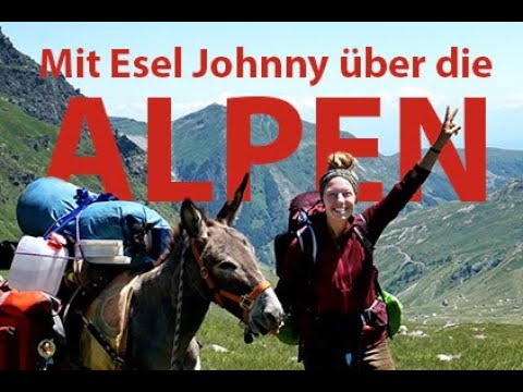 Mit Esel Johnny über die Alpen