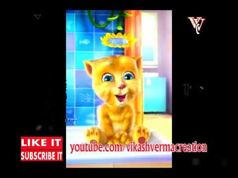 khidki khuli rahe sari ratiya | खिड़की खुली रहे सारे रतिया | Latest Funny Song