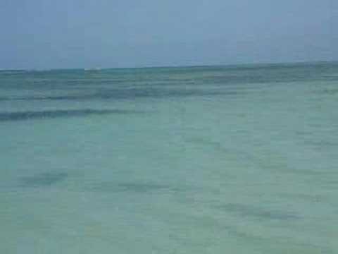 Tobago vs Tooting Lido