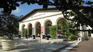 Discover The City of Coral Gables