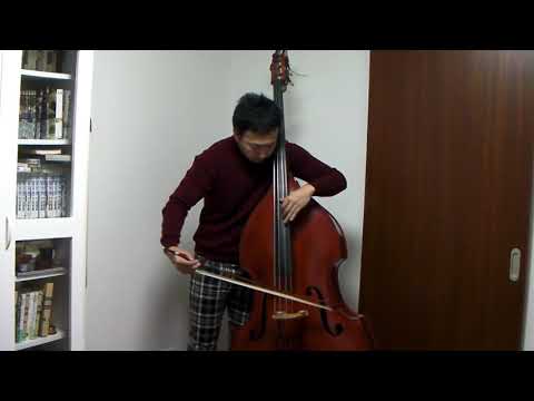 Miloslav Gajdos：Capriccio in D