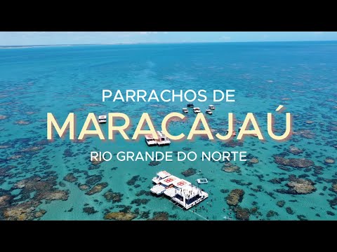 Explore conosco os Parrachos de Maracajaú - Rio Grande do Norte