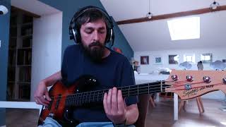 Adrian Belew - Adidas In Heat bass cover