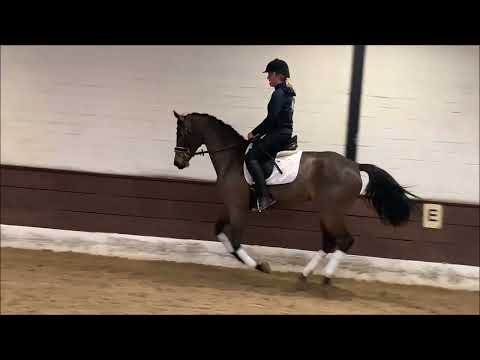 BERTA 9j. v. Benicio - Latimer VB 12.000,- Euro