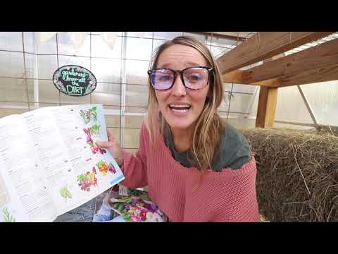 How to shop a seed catalog (ADVICE to set yourself up for success)  VLOG