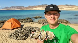 Living on a Wild Island Full of Oysters! (Yemen)