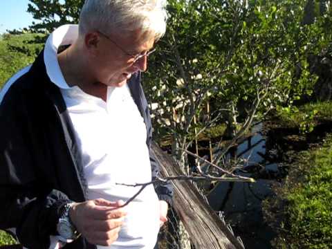 szwagier, nastepny 4-feeter!