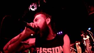 Forty Winters - The Darkening (Music Video)