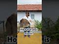 How Parai Is Made ️ Parai Trending Song Dance Drumset Drums Folksong