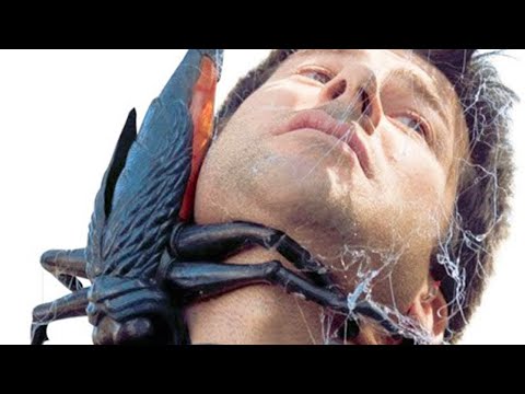 I 10 animali più letali che non dovresti mai toccare