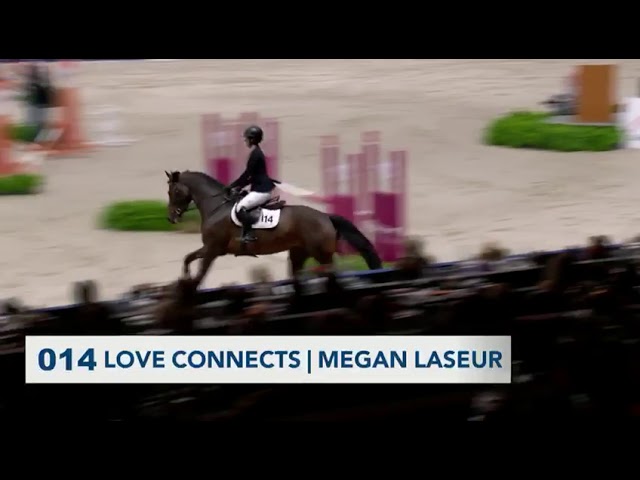 Love connect Stallion