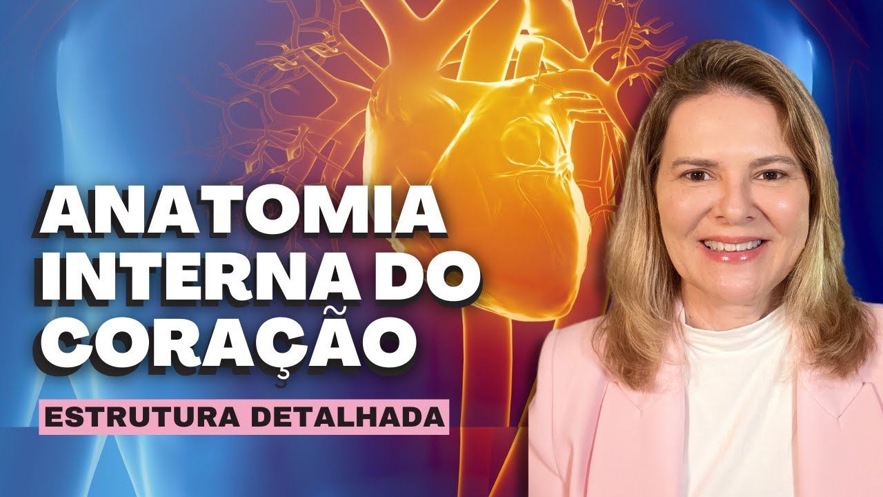 ANATOMIA INTERNA DO CORAÇÃO | Anatomia para Você