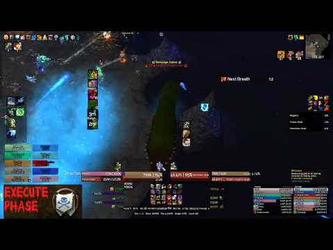 Execute Phase - Heroic Megaera 10 Man Protection Warrior Tank POV
