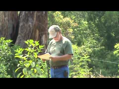 Forks of Cypress Video 3