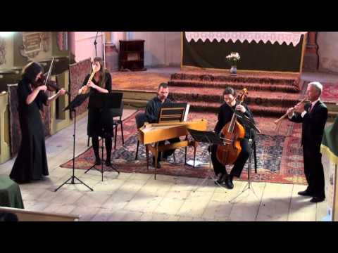 G.Ph. Telemann - Quartetto G-Dur (TWV 43:G6) | Musica Barcensis