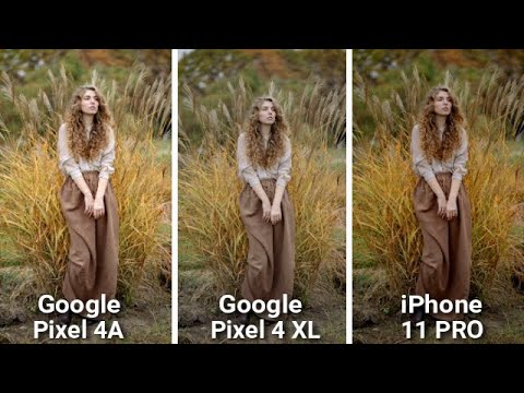 Google PIXEL 4A VS Google PIXEL 4 XL VS iPhone 11 Pro CAMERA COMPARISON