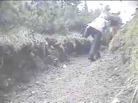 Malaiesti primavara 2008