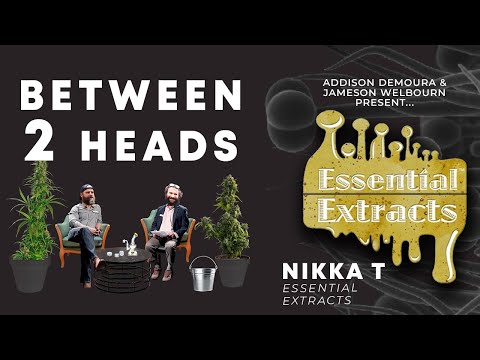 Between2Heads Podcast || Nikka T || Essential Extracts