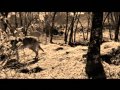 Metallica Of Wolf And Man Subtitulado En Español
