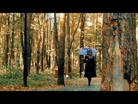 Елена Королёва - Кружатся листья