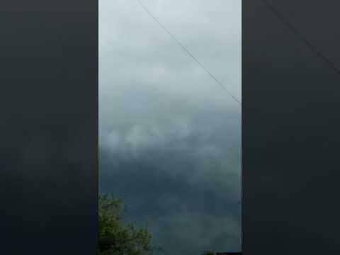 Allah is the Best Creator|The Quran Yamina