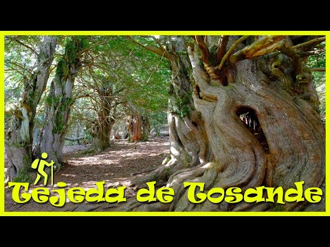 Tejeda de Tosande / P.N. Montaña Palentina (Palencia)