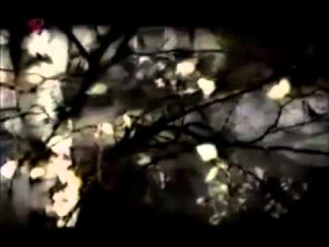 Daniel Hůlka & Céline Dion