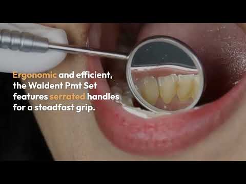 Waldent Pmt Set Instrument Kit (Single Ended) (K13/1)