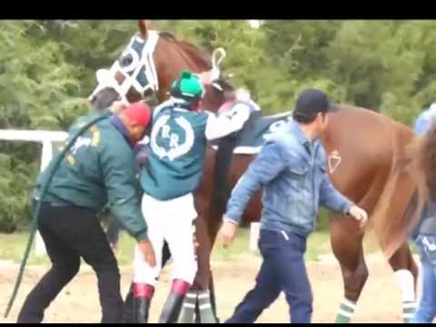 Jose Robles El Guacho - Panamá West (Corrido y Video Official)