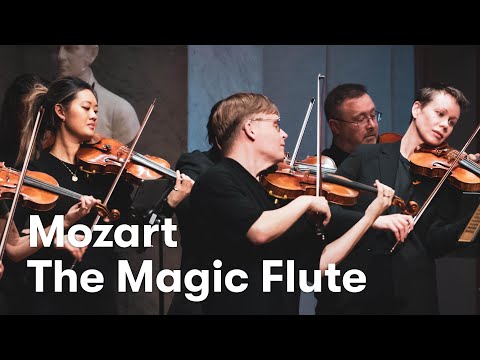 W. A. Mozart: Die Zauberflöte (The Magic Flute) arr. for strings