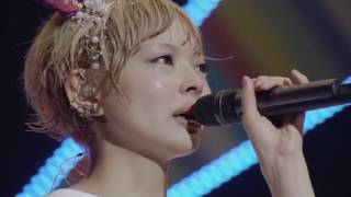 【日本武道館2014ダイジェスト】WWDBEST/でんぱ組.inc【伝説のハジマリ】