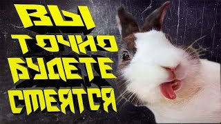 ПОПРОБУЙ НЕ ЗАСМЕЯТЬСЯ! Ржака. Лучшие приколы 2018. Ржачные моменты с людьми. Лучшие розыгрыши.