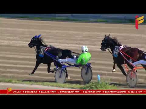 IV Corsa del 18 marzo 2023 - 3 Anni - Metri 2000 - Gentlemen