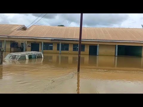 Save Flood Victims in Nigeria from Hunger/Sickness